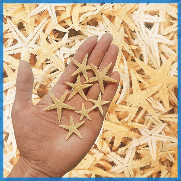 Scallop seashell Christmas tree ornaments set of 4 - Picture 6 of 8